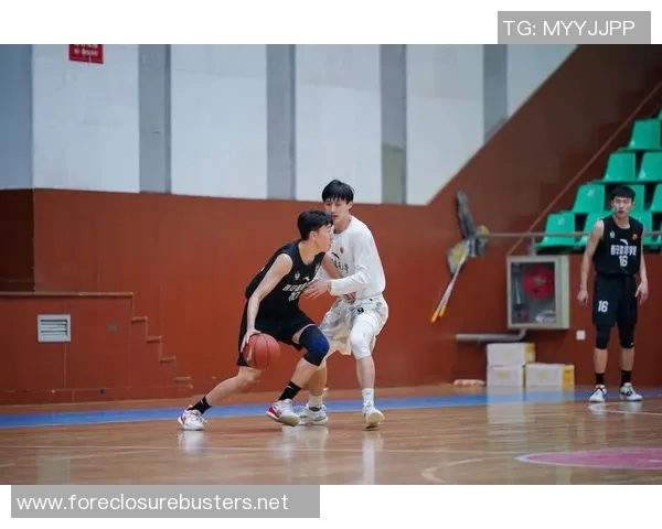 西安篮球队状态变革引发热议球迷期待新篇章的崛起与挑战